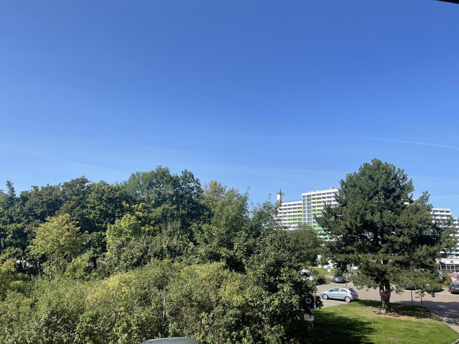 Albatros Appartement *